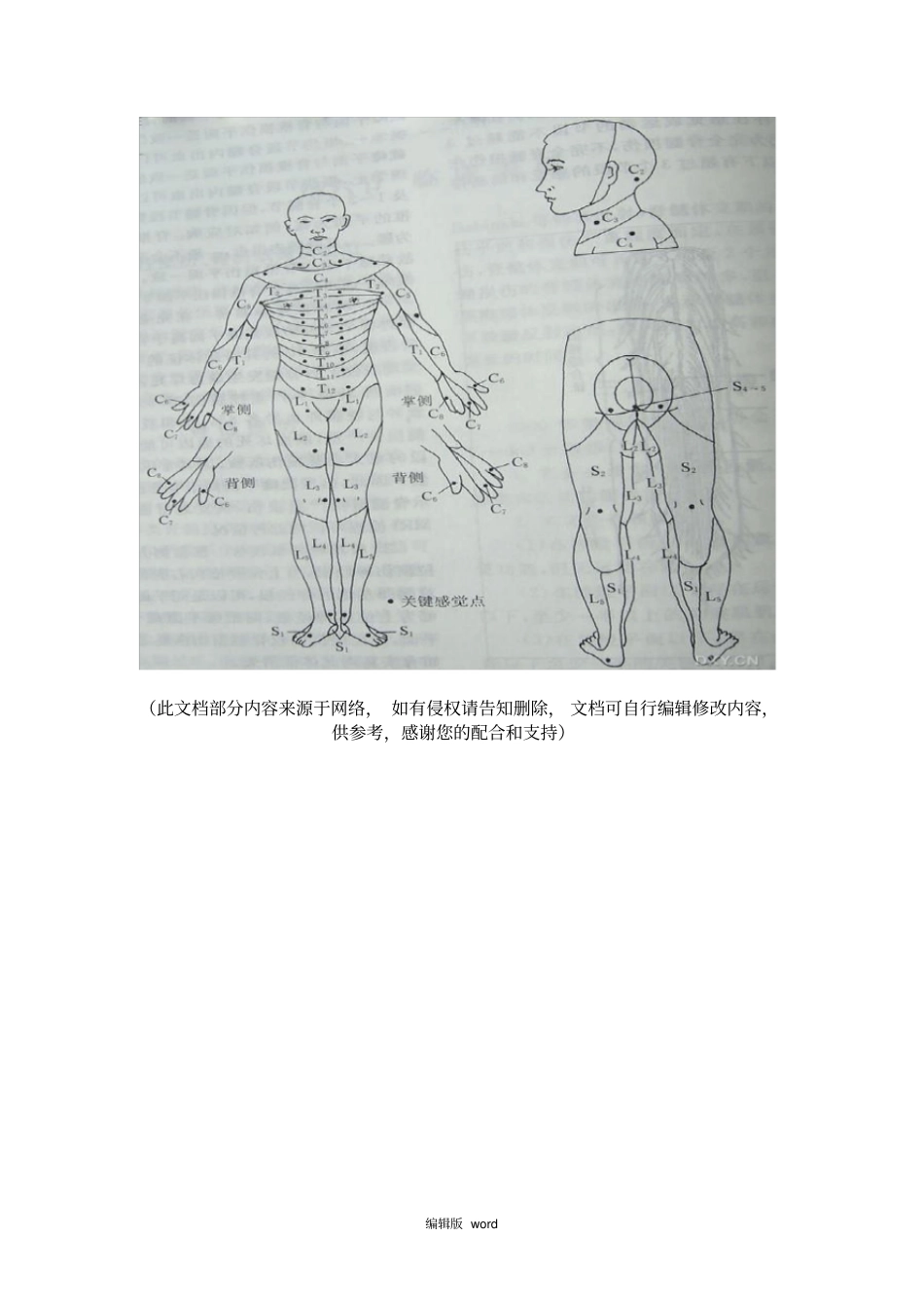 脊髓损伤平面_第3页