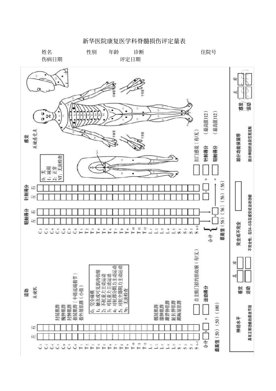 脊髓损伤综合评定量表_第1页