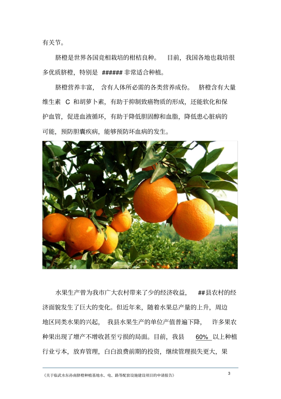 脐橙种植示范基地建设水、电、路等配套设施项目资金申请报告_第3页