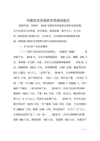 脱贫攻坚夏秋攻势调查报告