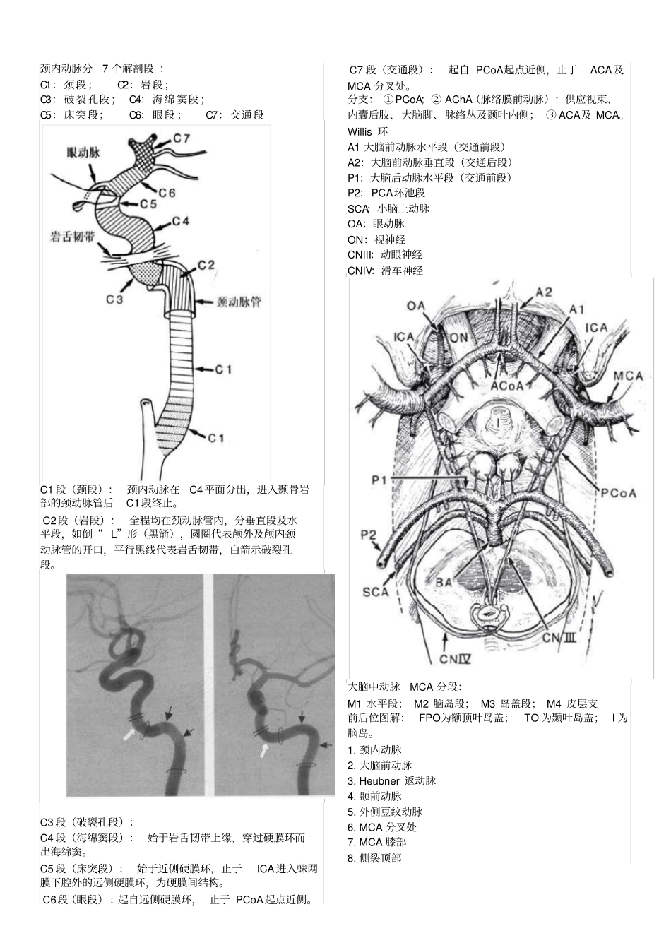 脑血管解剖及分段详解_第1页