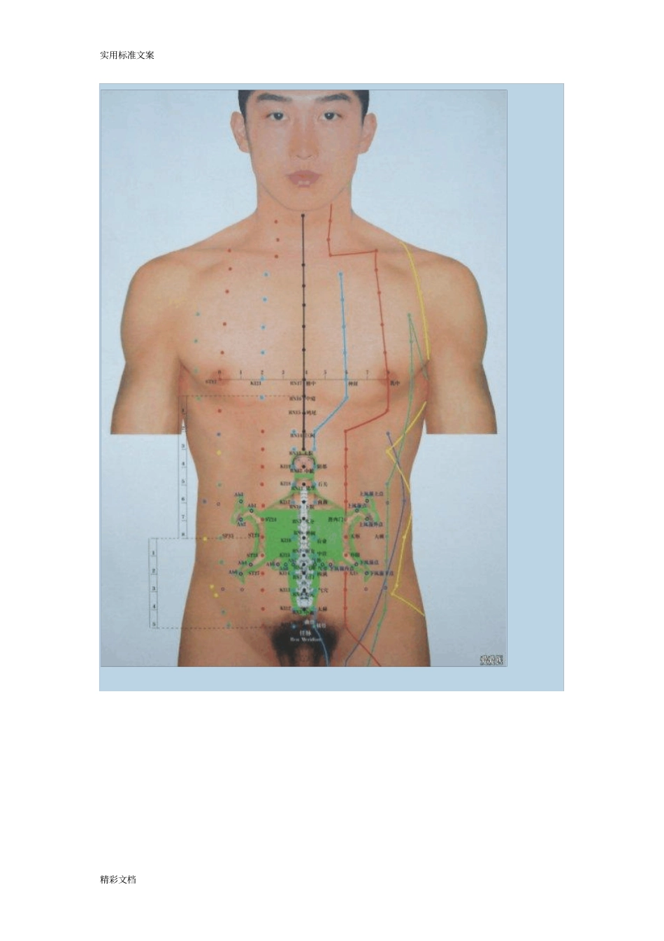 腹部常用的穴位的定位和功能2_第3页