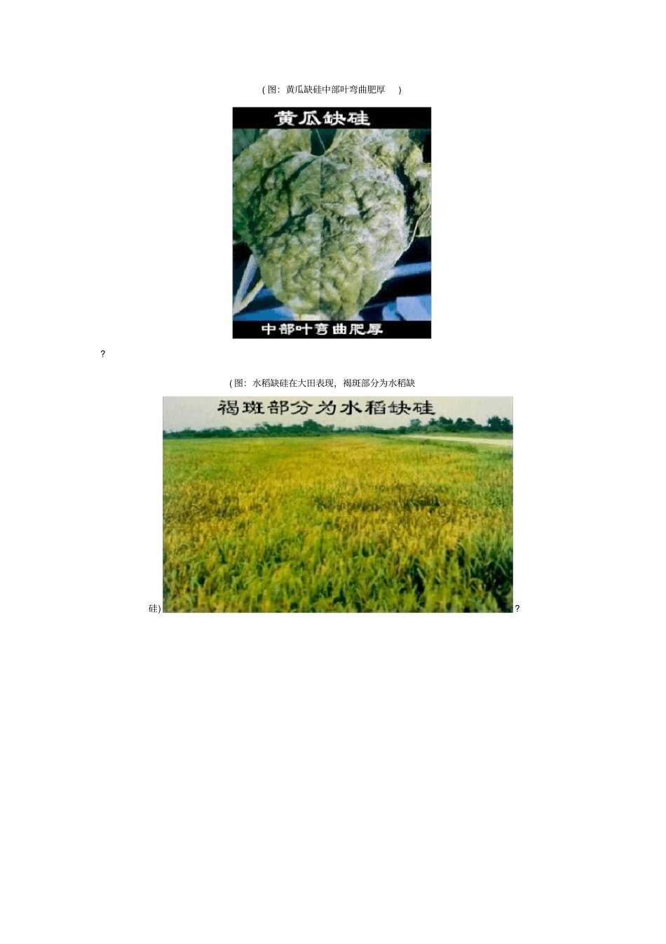 自-有益元素对作物的作用及有益元素化肥_第3页