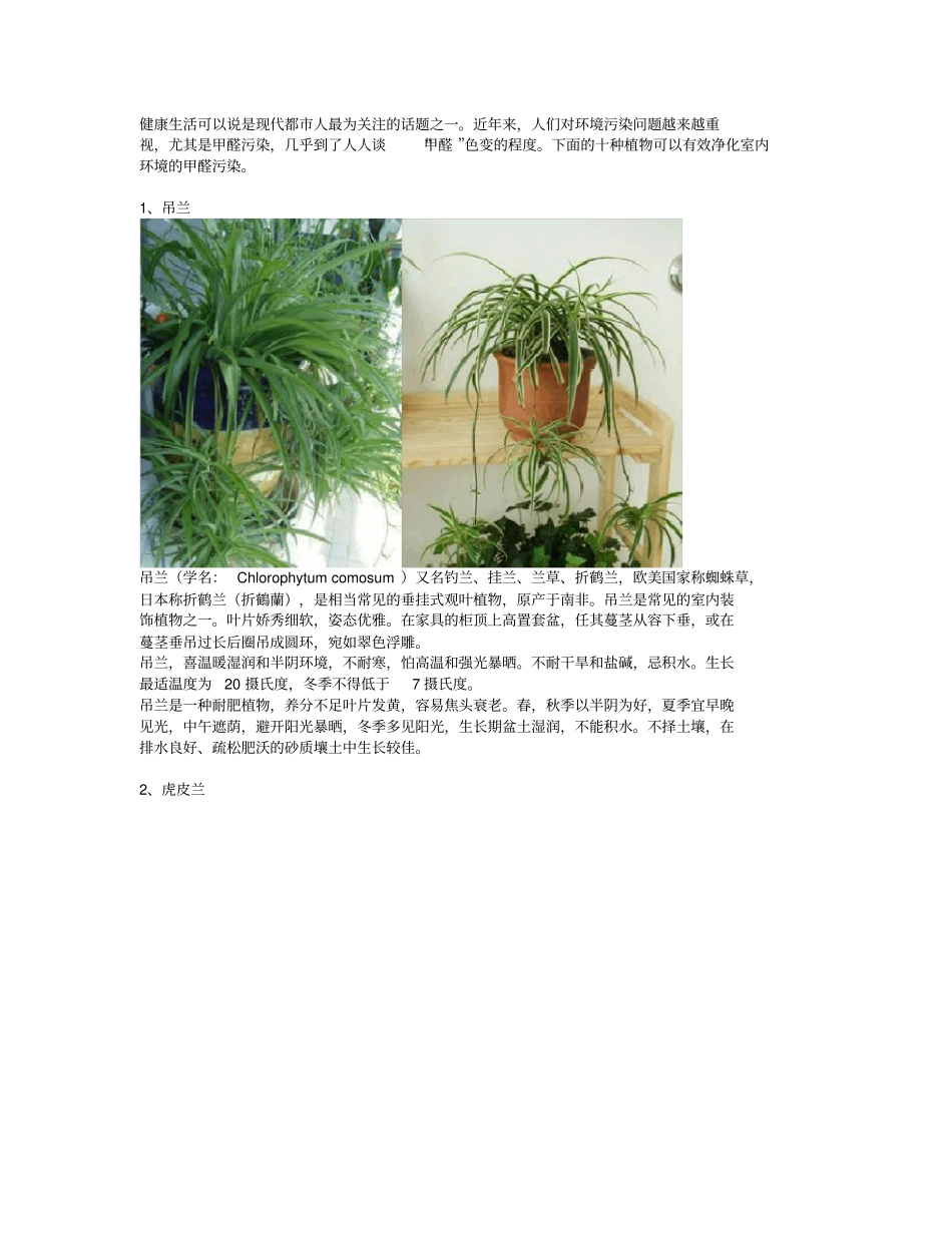 自然界中吸收甲醛的十大植物_第1页