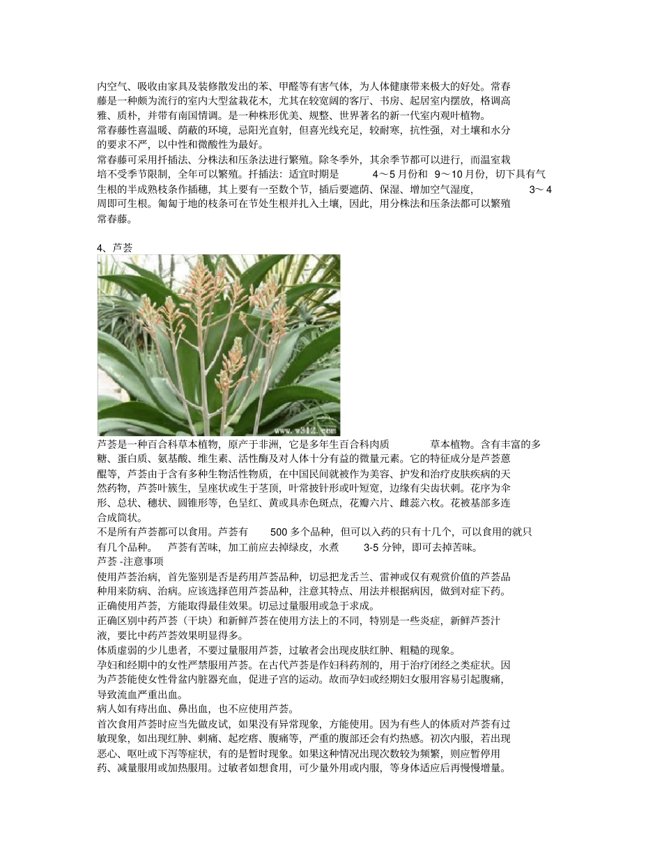 自然界中吸收甲醛的十大植物_第3页