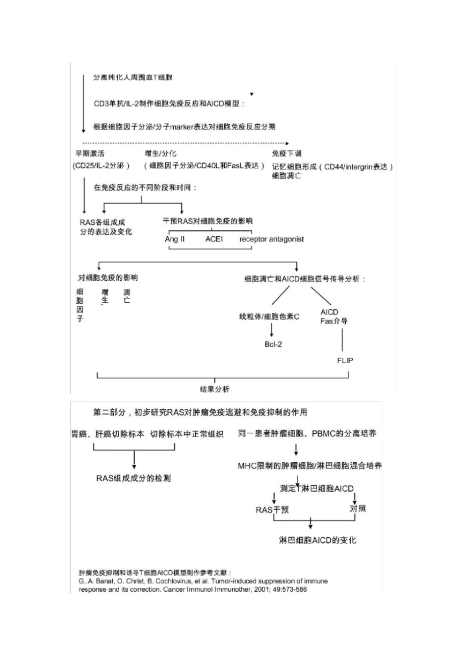 自然科学基金申请书技术路线汇总_第2页