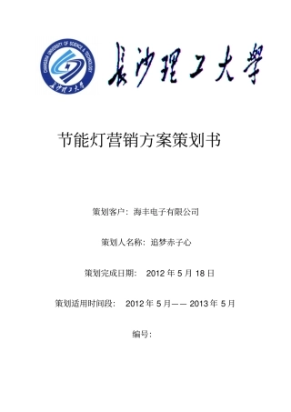 节能灯营销方案策划书