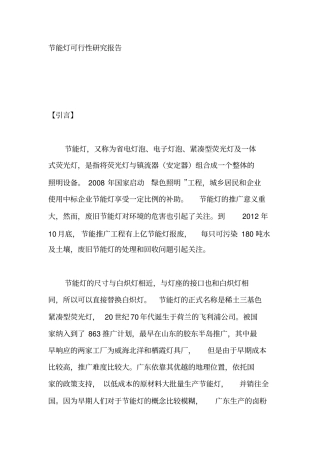 节能灯可行性研究报告