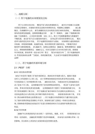 苏宁电器战略分析报告+会计分析报告