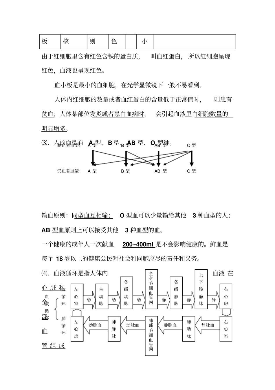 苏科版八年级上册生物复习提纲资料_第3页