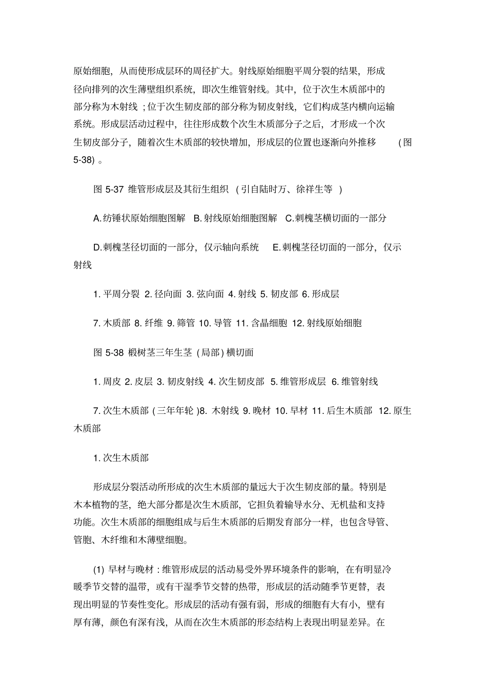 茎的次生生长和次生结构_第2页