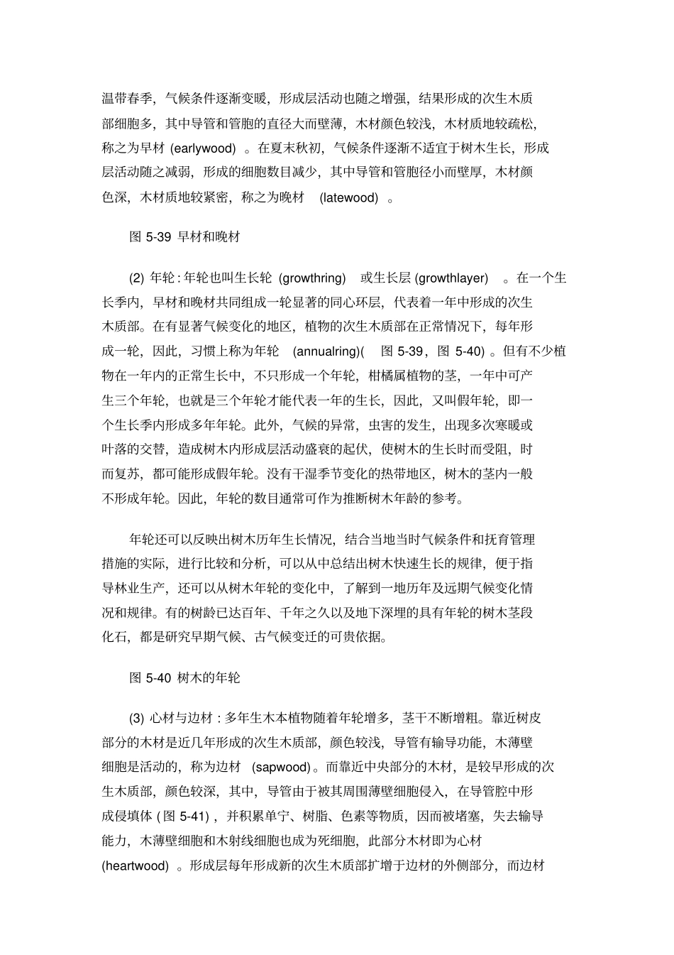 茎的次生生长和次生结构_第3页