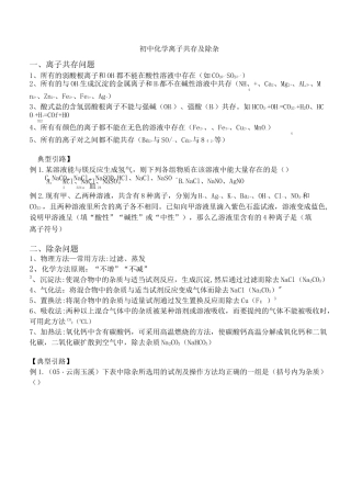 初中化学离子共存及除杂