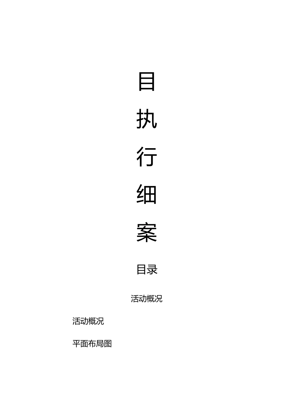 大型活动执行方案_第1页