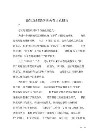 落实巡视整改回头看自查报告
