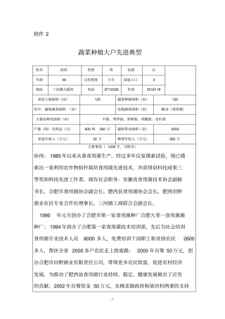 蔬菜种植大户先进典型