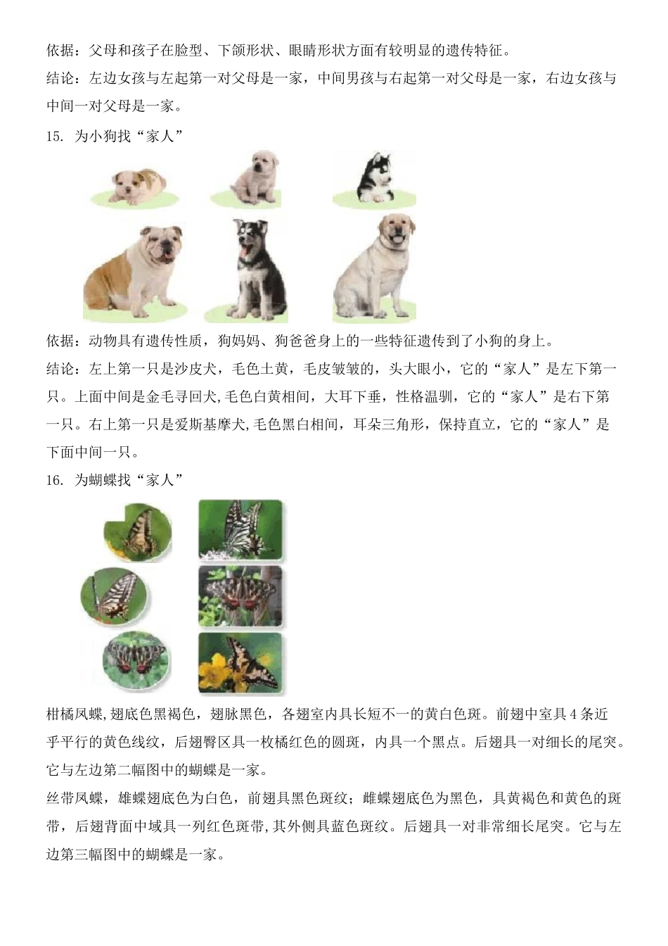 新苏教版六年级科学上册第2单元《遗传与变异》知识点梳理_第2页