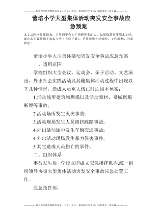 蕾培小学大型集体活动突发安全事故应急预案
