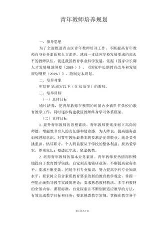 青年教师培养规划