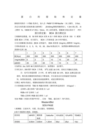 蛋白含量测定及western步骤