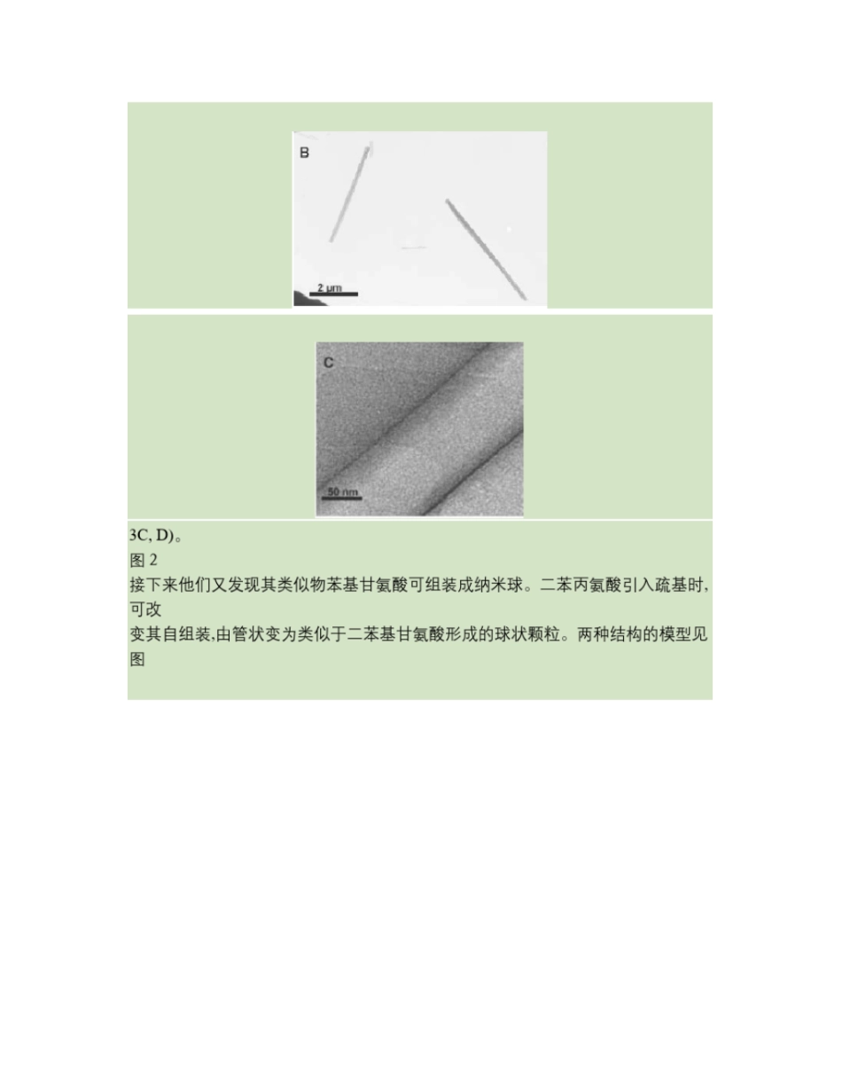 蛋白质及多肽分子自组装_第2页