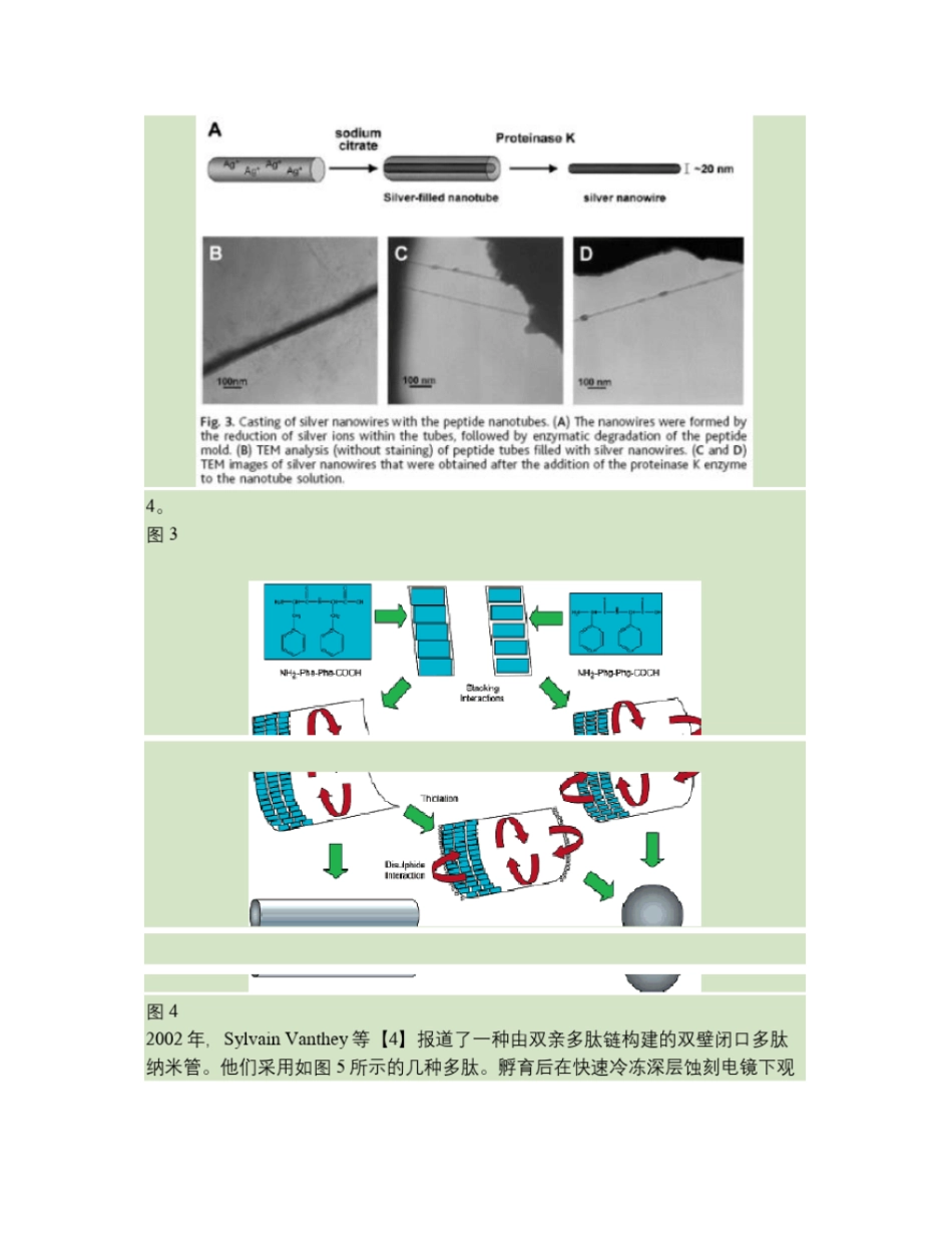 蛋白质及多肽分子自组装_第3页