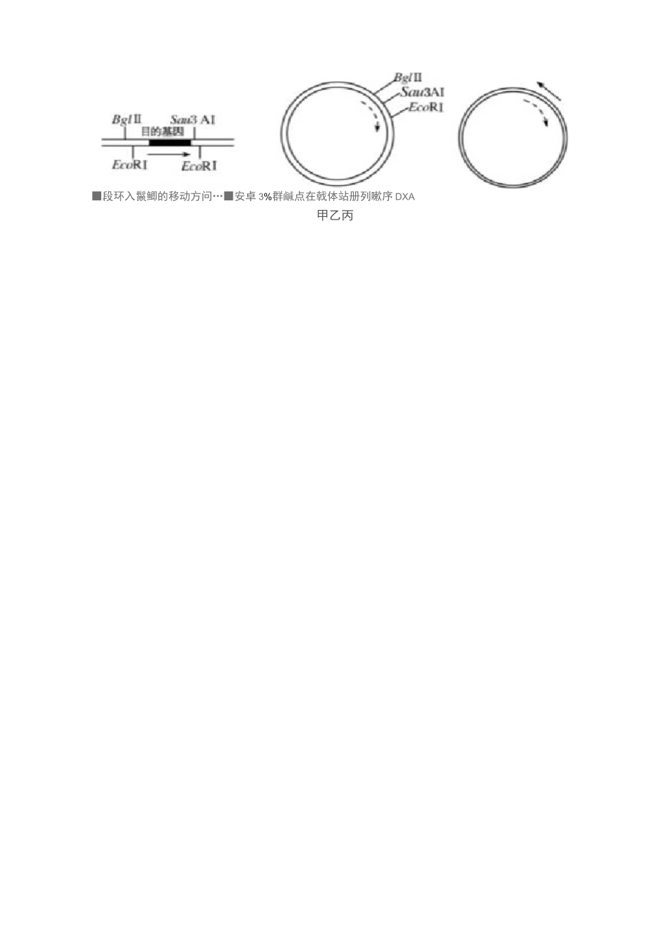 人教版高中生物选修三专题1基因工程测试题 Word版缺答案_第2页