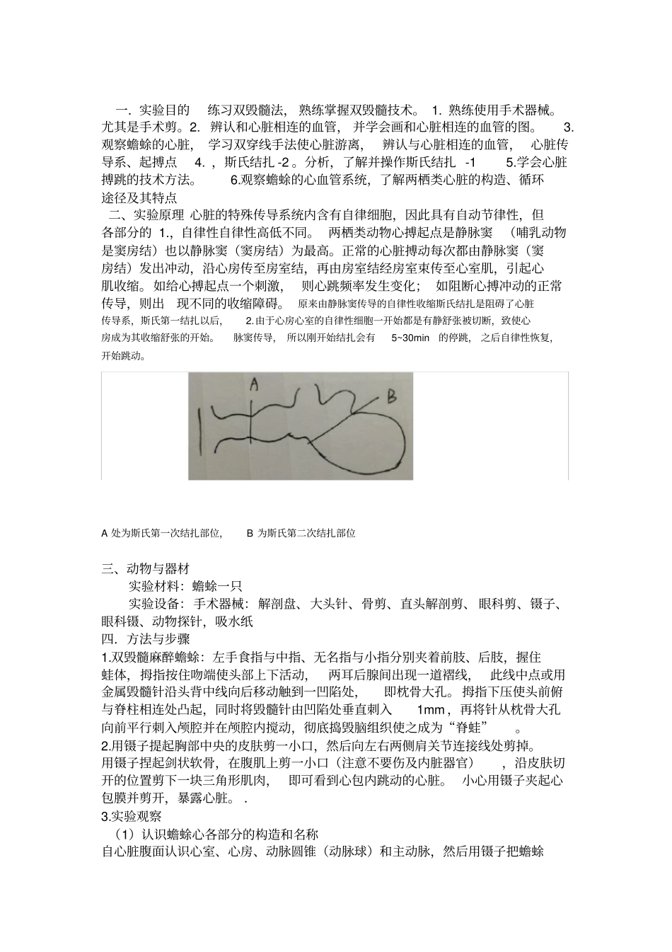 蟾蜍心脏传导系试验报告_第1页