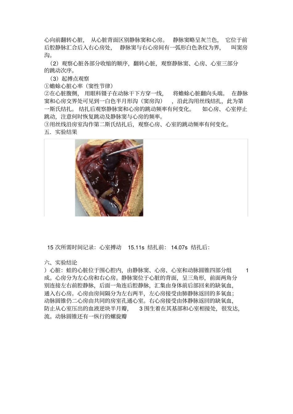 蟾蜍心脏传导系试验报告_第2页