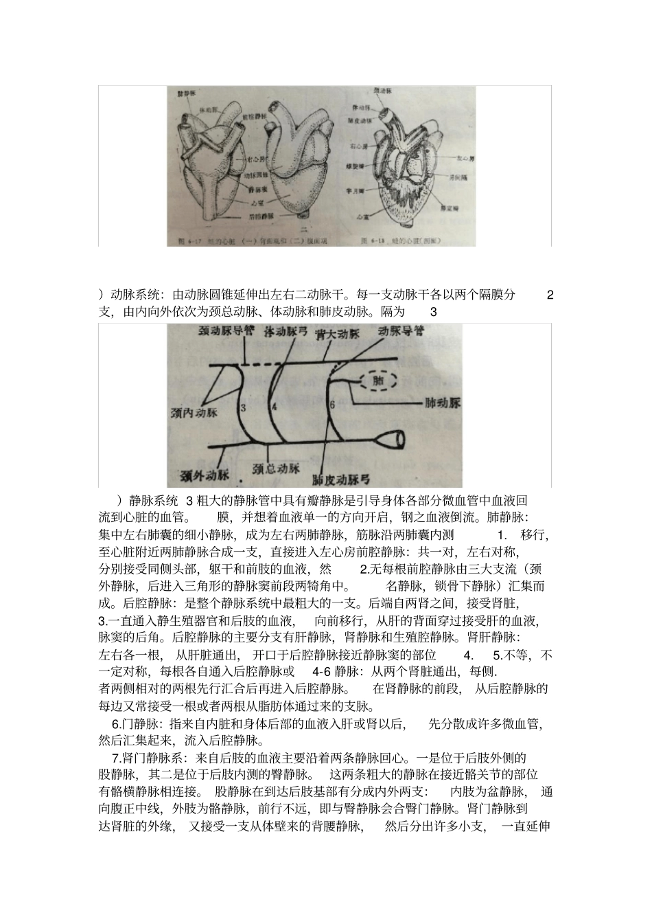 蟾蜍心脏传导系试验报告_第3页
