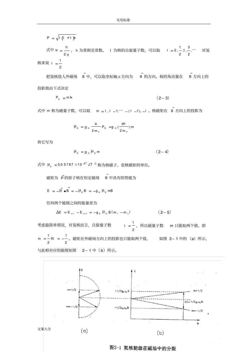 袁礼文核磁共振稳态吸收_第2页