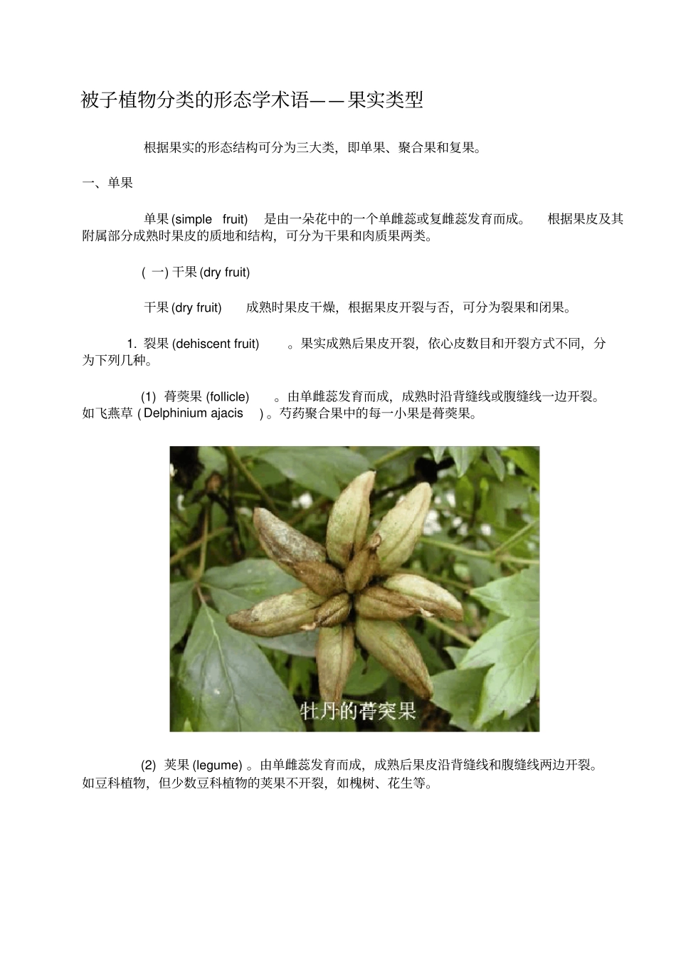 被子植物分类的形态学术语——果实类型_第1页