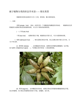 被子植物分类的形态学术语——果实类型