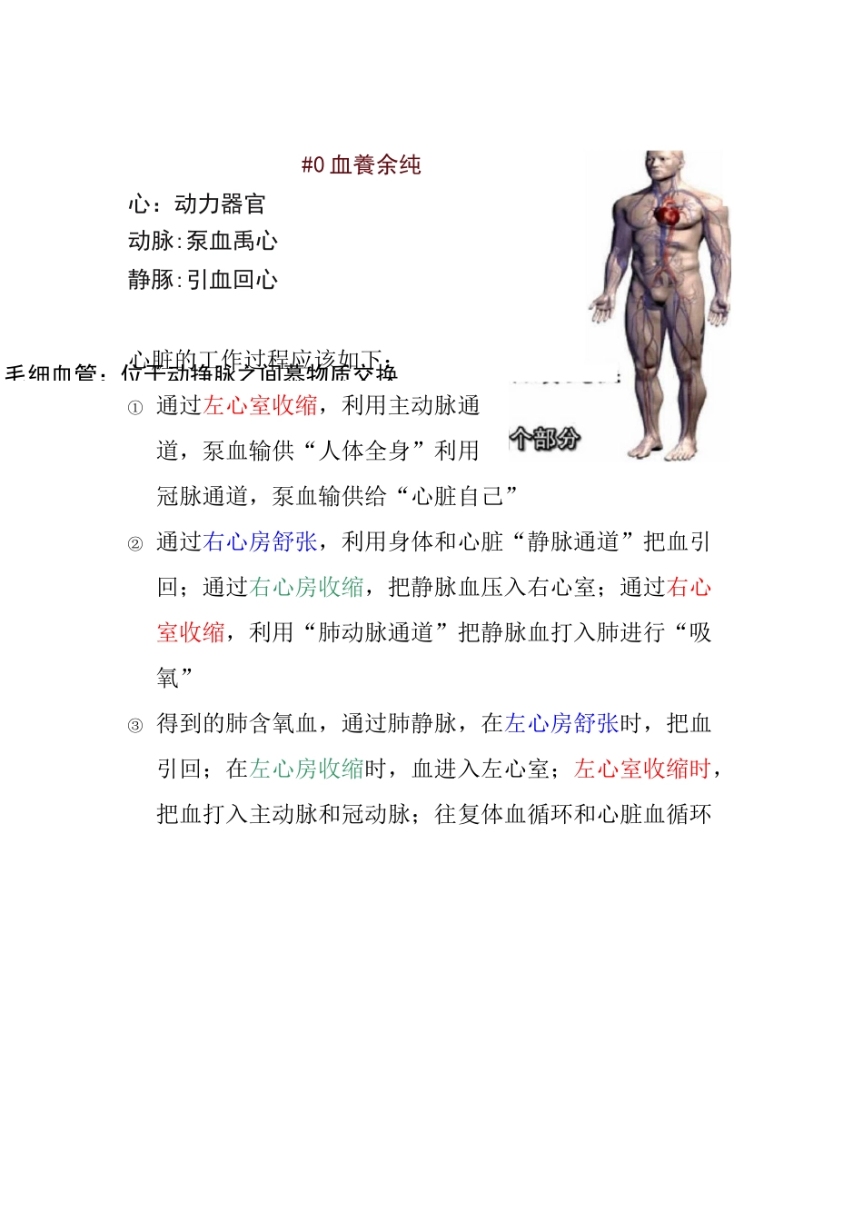 心脏工作原理_第1页