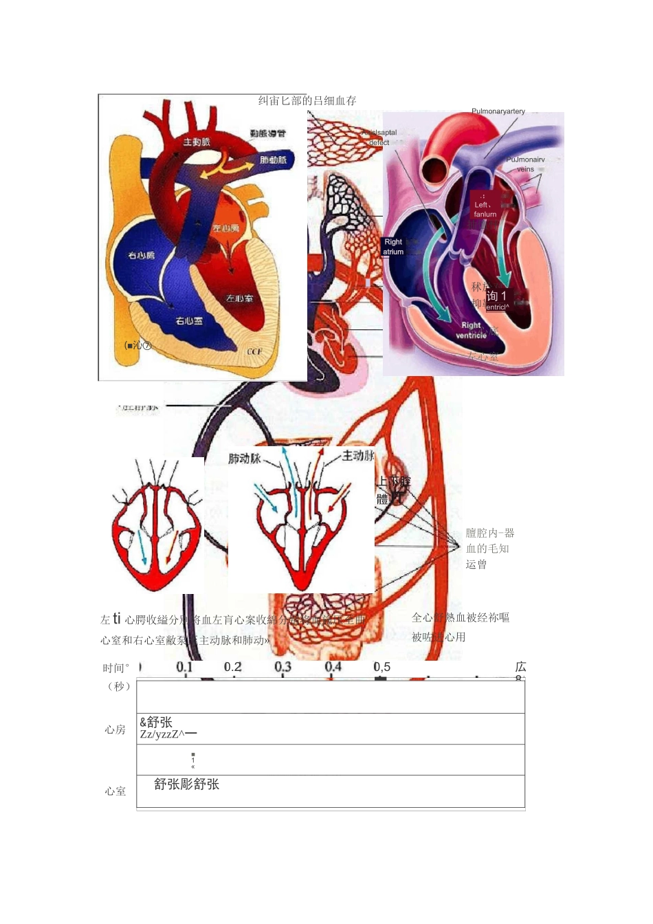 心脏工作原理_第3页