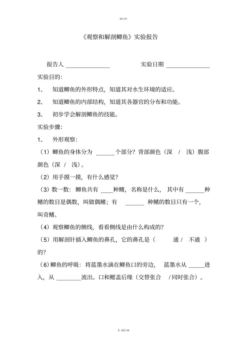 观察和解剖鲫鱼试验报告_第1页