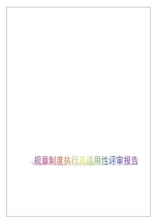 规章制度执行及适用性评审报告