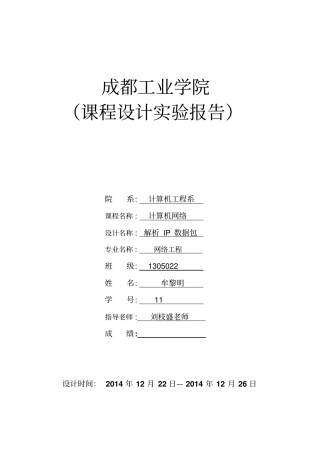 解析IP数据包试验报告要点