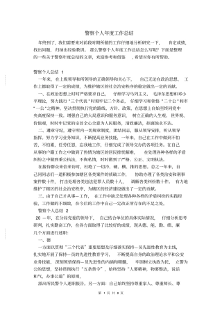 警察个人年工作总结