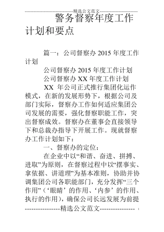 警务督察年工作计划和要点