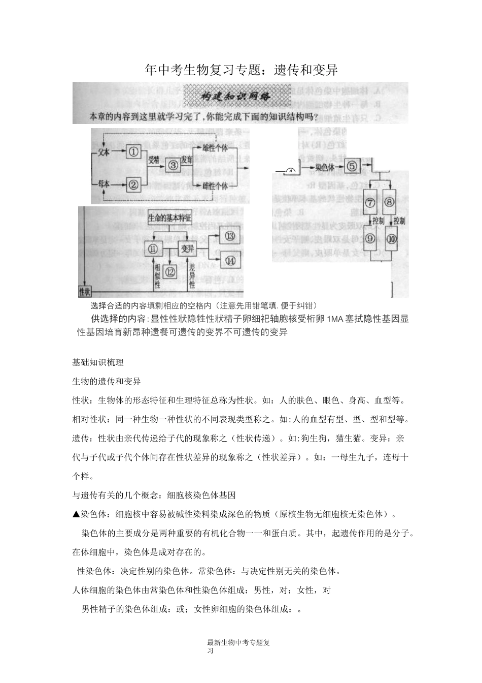 最新中考生物复习专题：遗传和变异_第1页