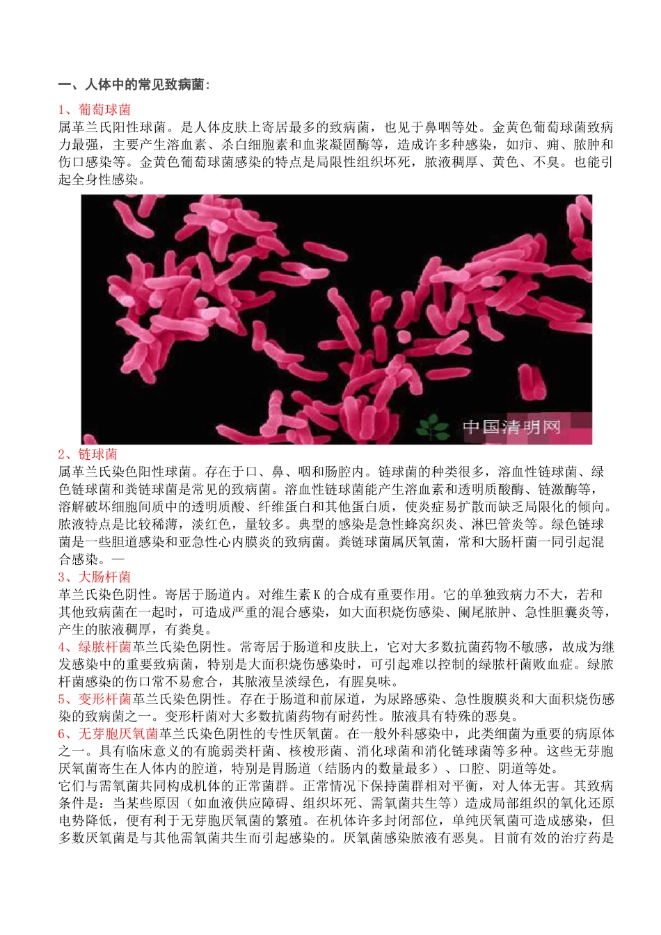 人体各部位常见的致病菌_第3页