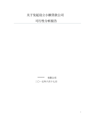 设立小额贷款公司可行性分析报告