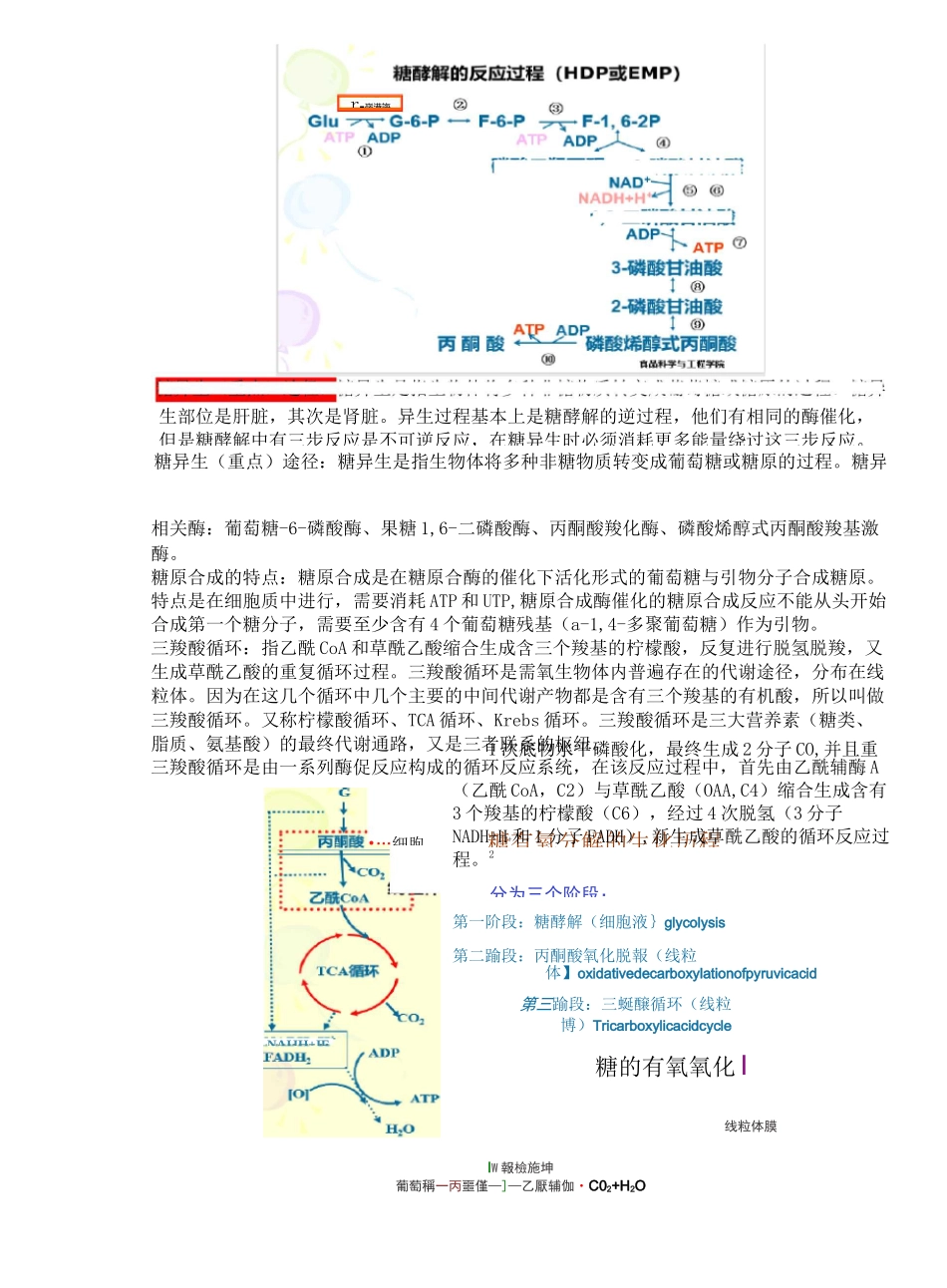 食品生物化学总结_第2页