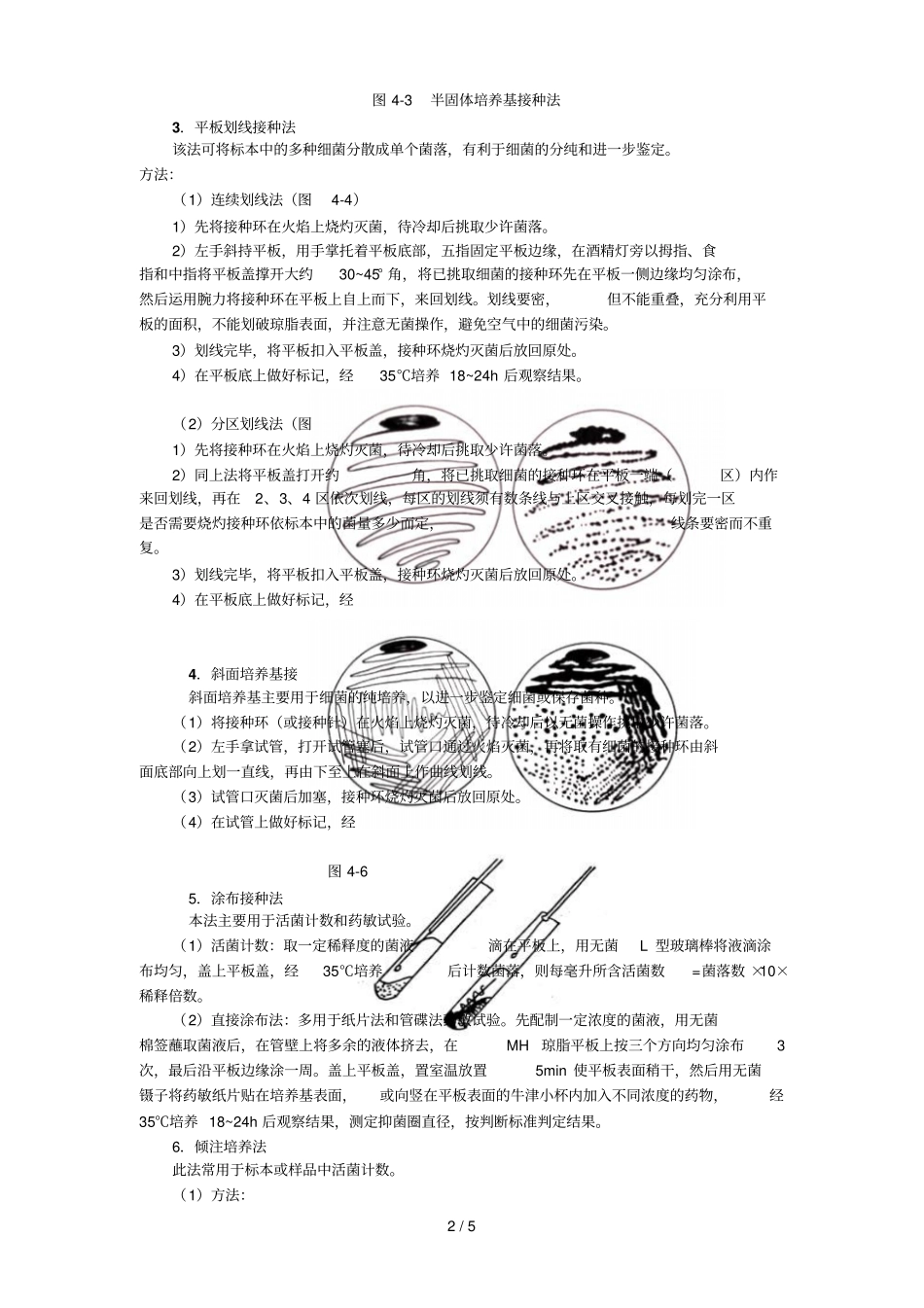 试验四细菌接种培养法与生长现象观察_第2页