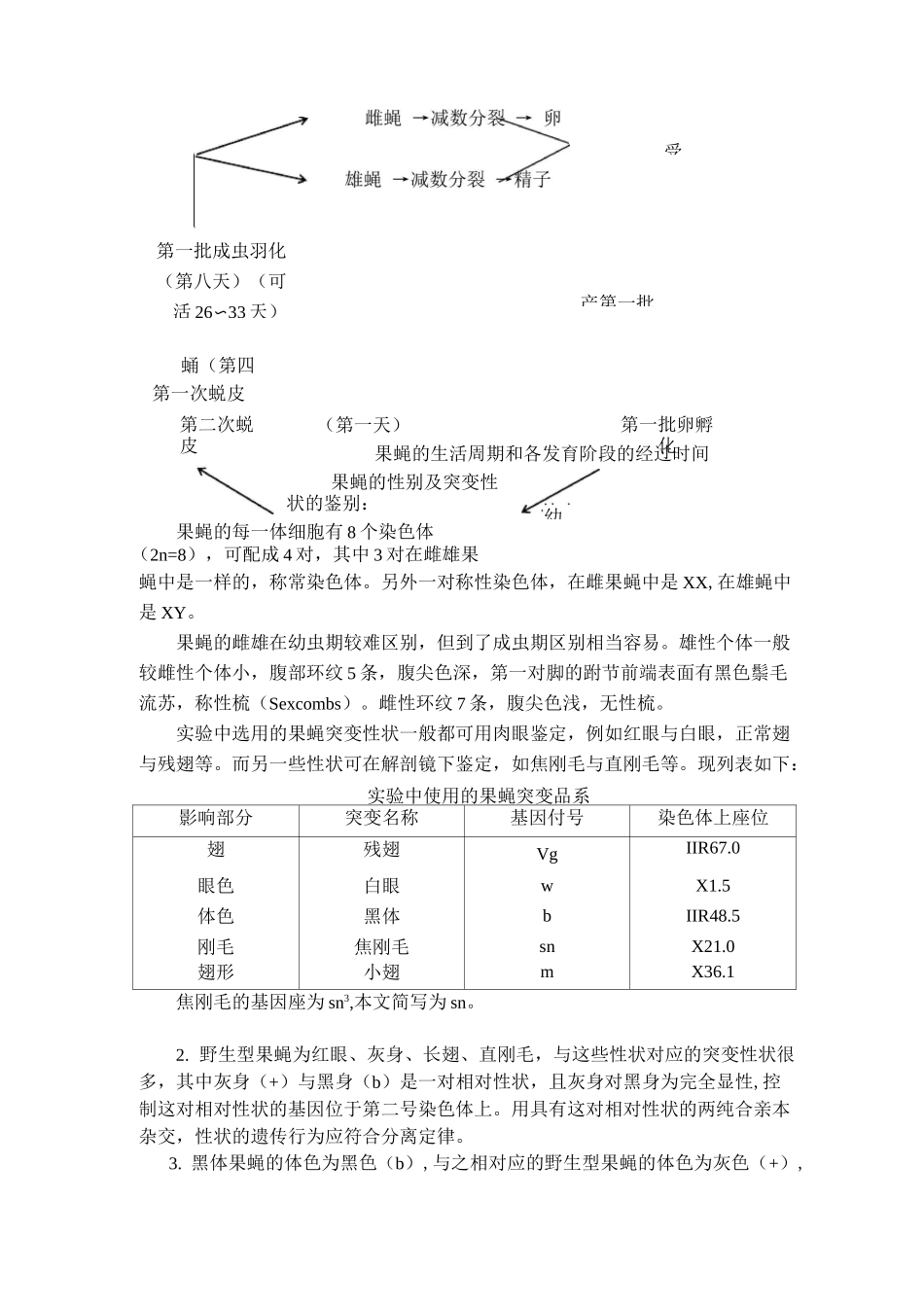 果蝇杂交实验实验报告_第2页