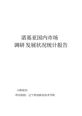 诺基亚中国场调研报告