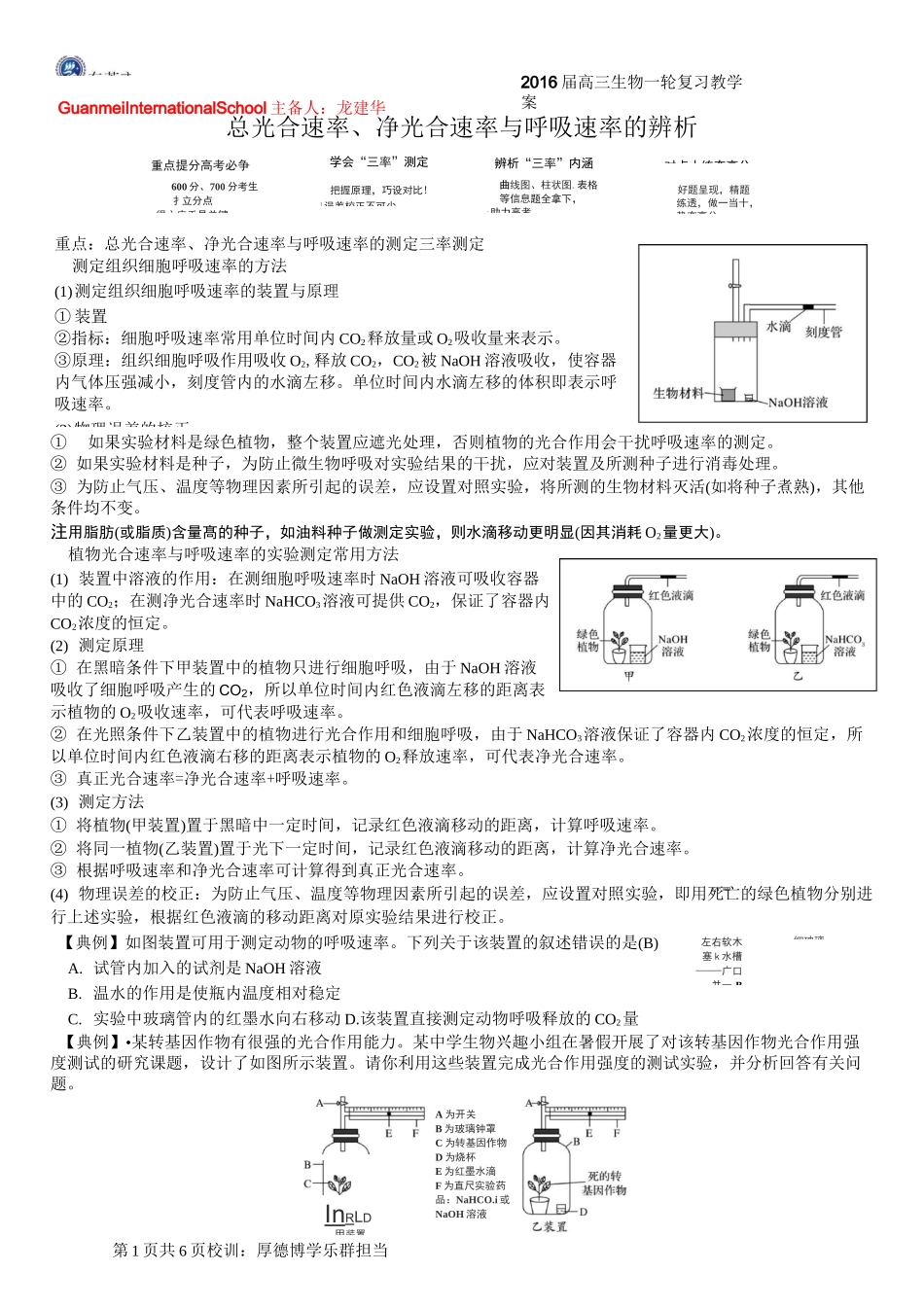 总光合速率、净光合速率与呼吸速率的辨析_第1页