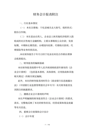 财务会计报表附注