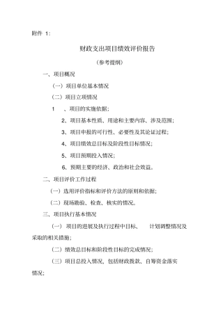 财政支出项目绩效评价报告